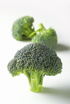 Broccoli florettes