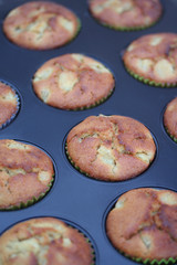 tortine cotte su teglia da forno