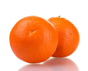 mineola fruits isolated on white