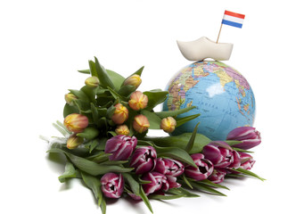 Tulips from Holland