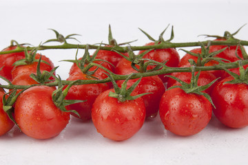 Fresh Cherry Tomatoes on the branch