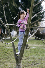 tree climbing