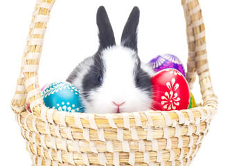 Colored Easter Eggs With Little Bunny In Basket