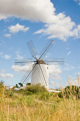 Old Windmill on the farm