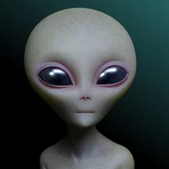 Rolgordijnen alien © Albert Ziganshin