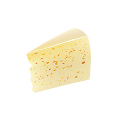 piece of cheese (EPS 8) isolated on white background