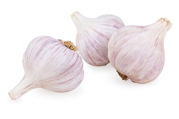 Three purple garlic