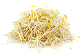 Bean Sprouts on White Background