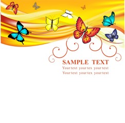 schmetterlinge   bunt © Sonja Janson