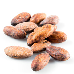 Pile of cocoa beans on white.
