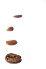 Row of Arabica Coffee Beans.