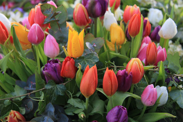 Mixed spring tulips bouquet
