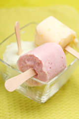fruit ice cream