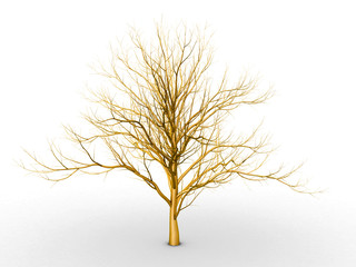 Fototapeta premium The golden tree on a white background