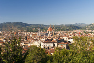 Fototapeta na wymiar Widok na miasto z Minitao Kościoła w Florencja Włochy