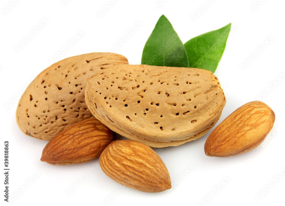 Sticker almond nuts with leafs