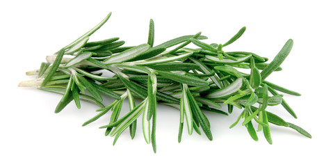 Fototapeta premium Twigs of rosemary