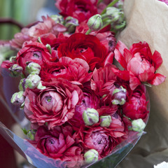 Colorful variety of flowers