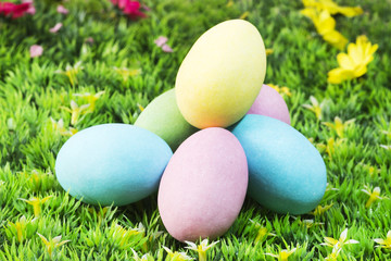 easter eggs on a flowering garden