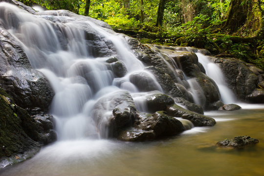 รูปภาพManora – เลือกดูภาพถ่ายสต็อก เวกเตอร์ และวิดีโอ558 | Adobe Stock