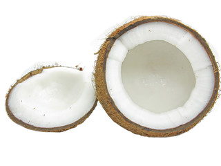 coconut nut isolated