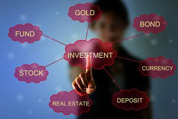 Business woman pointing investment concept