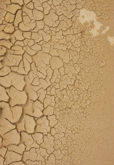 Cracked soil texture