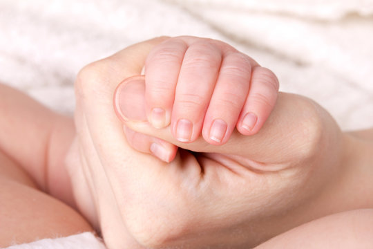 Newborn baby little hand in careful hands