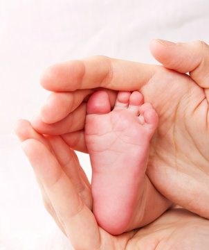 Newborn baby leg in careful hands