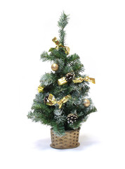 Green fur-tree on a white background