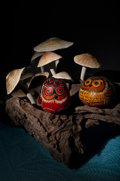 Two owls in the dark on stumpy with mushroom