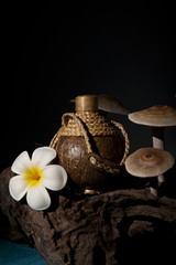 Coconut pot of facial cream isolated on black background