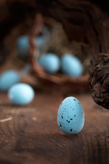 Easter blue eggs