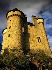 Fototapeta premium chateau