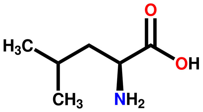 Essential amino acid leucine structural formula