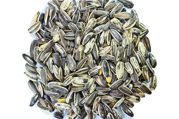 Sunflower Seeds Close-up