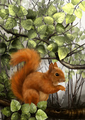 Wiewiórka © pleolka