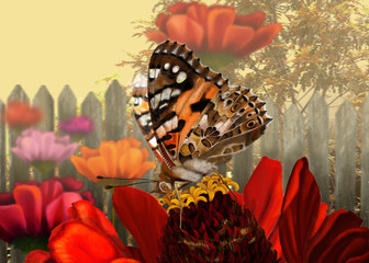 Motyl © pleolka