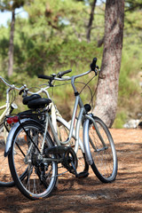 Fototapeta na wymiar trzy rowery w parku