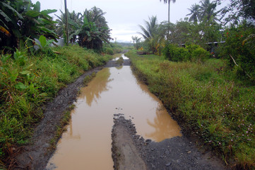 Fototapeta na wymiar Zalane drogi w miejscowości papuaskich