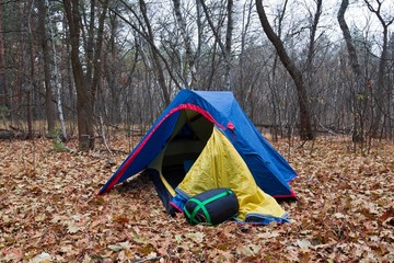 small touristic tent in a oak forest