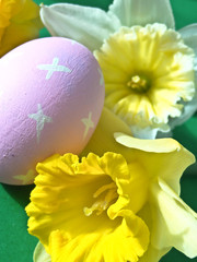 Pink Egg and Daffodils