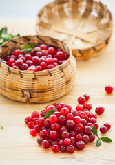 Fresh red cranberries