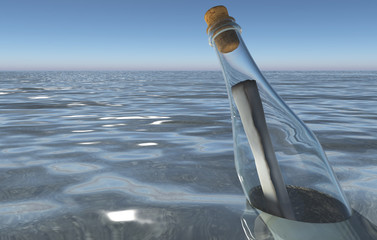 Message in a bottle in the sea
