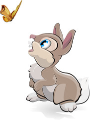 Hare and the butterfly