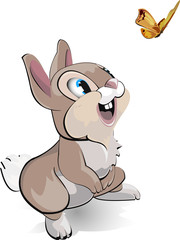Rabbit and the butterfly