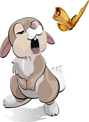 Rabbit and the butterfly2