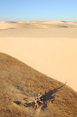 sahara occidental sud tunisien 6