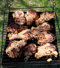 Juicy slices of meat with sauce prepare on fire