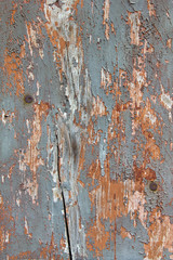Fototapeta premium Old wooden surface